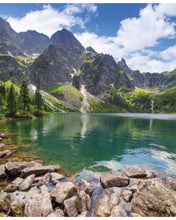 Carica l&#39;immagine nel visualizzatore di Gallery, STAMPE NATURA
