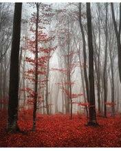 Carica l&#39;immagine nel visualizzatore di Gallery, STAMPE NATURA
