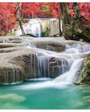 Carica l&#39;immagine nel visualizzatore di Gallery, STAMPE NATURA
