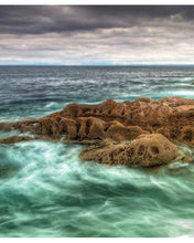 Carica l&#39;immagine nel visualizzatore di Gallery, STAMPE NATURA
